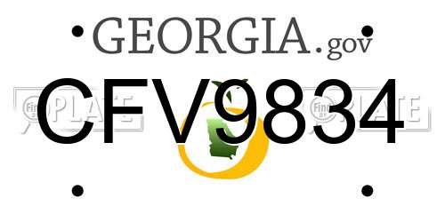 CFV9834 Georgia License Plate