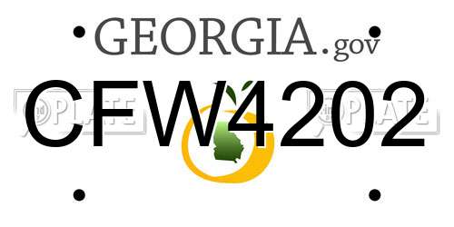 CFW4202 Georgia License Plate