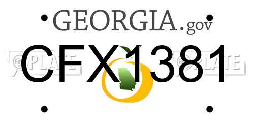 CFX1381 Georgia License Plate