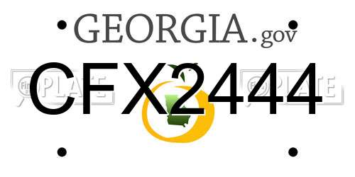 CFX2444 Georgia License Plate
