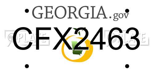 CFX2463 Georgia License Plate