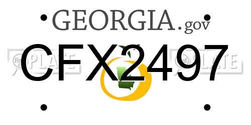 CFX2497 Georgia License Plate