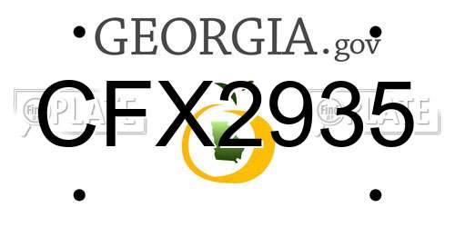 CFX2935 Georgia License Plate