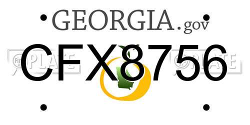 CFX8756 Georgia License Plate