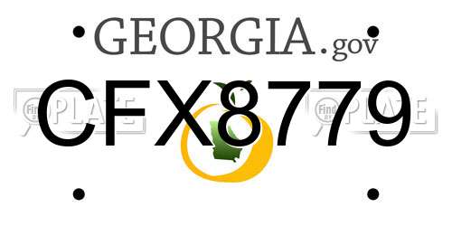 CFX8779 Georgia License Plate