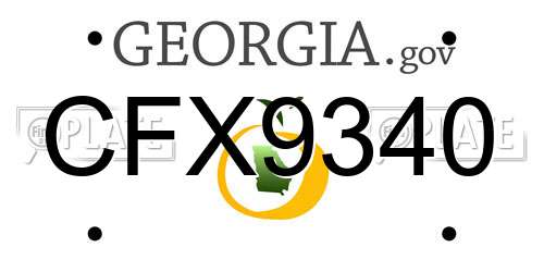 CFX9340 Georgia License Plate