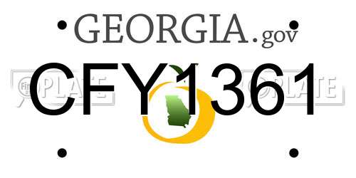 CFY1361 Georgia License Plate