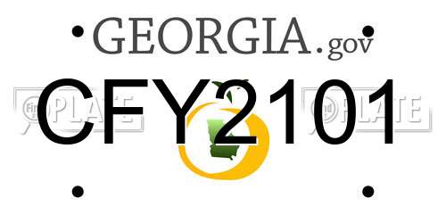 CFY2101 Georgia License Plate