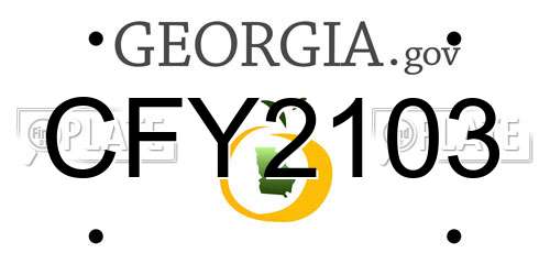 CFY2103 Georgia License Plate