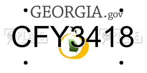 CFY3418 Georgia License Plate