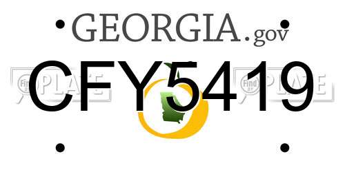 CFY5419 Georgia License Plate