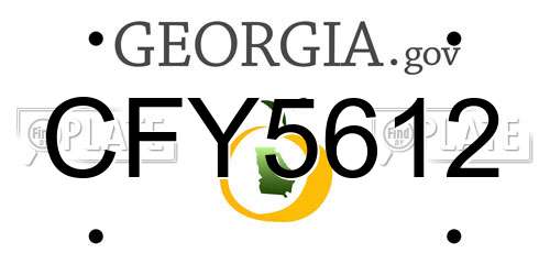 CFY5612 Georgia License Plate