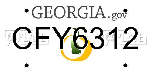 CFY6312 Georgia License Plate