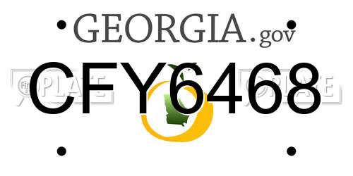CFY6468 Georgia License Plate