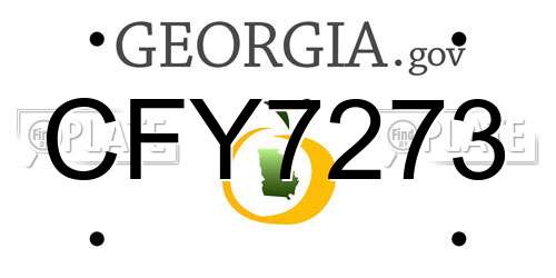 CFY7273 Georgia License Plate