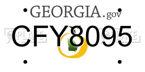 CFY8095 Georgia License Plate