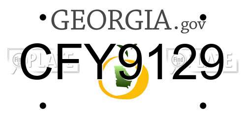 CFY9129 Georgia License Plate