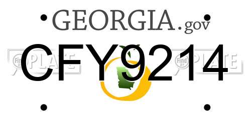 CFY9214 Georgia License Plate