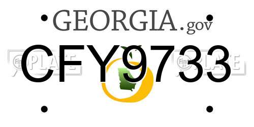 CFY9733 Georgia License Plate