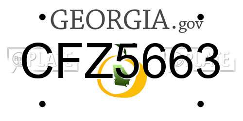 CFZ5663 Georgia License Plate