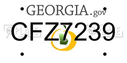 CFZ7239 Georgia License Plate