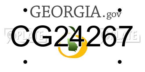 CG24267 Georgia License Plate