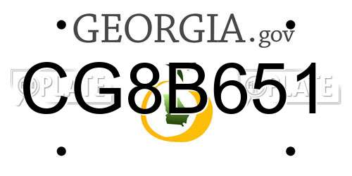 CG8B651 Georgia License Plate