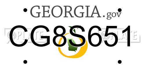 CG8S651 Georgia License Plate
