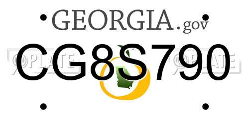 CG8S790 Georgia License Plate