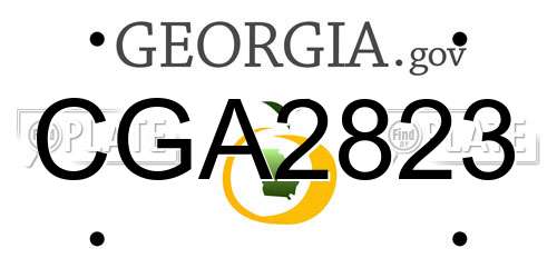 CGA2823 Georgia License Plate