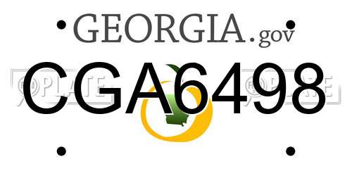 CGA6498 Georgia License Plate