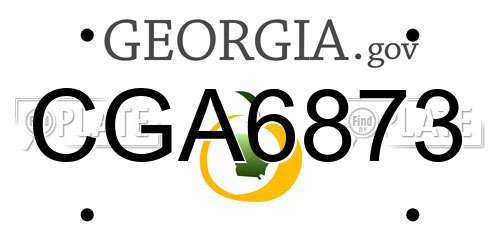 CGA6873 Georgia License Plate
