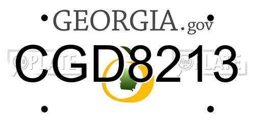 CGD8213 Georgia License Plate