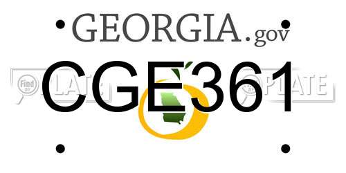 CGE361 Georgia License Plate