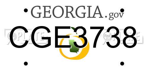 CGE3738 Georgia License Plate