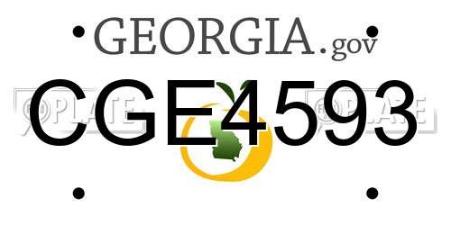 CGE4593 Georgia License Plate