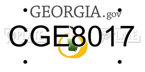 CGE8017 Georgia License Plate