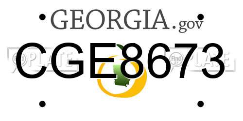 CGE8673 Georgia License Plate