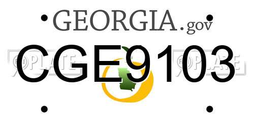 CGE9103 Georgia License Plate
