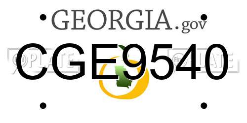 CGE9540 Georgia License Plate