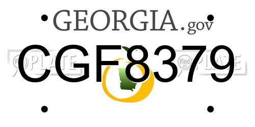 CGF8379 Georgia License Plate
