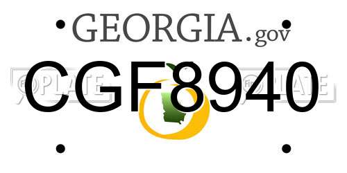 CGF8940 Georgia License Plate