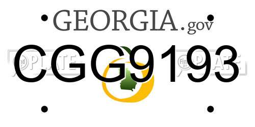 CGG9193 Georgia License Plate