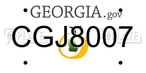 CGJ8007 Georgia License Plate