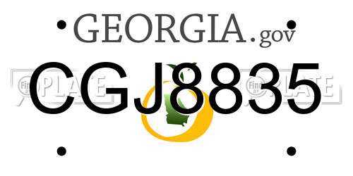 CGJ8835 Georgia License Plate