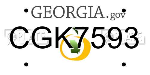 CGK7593 Georgia License Plate