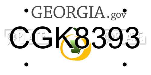 CGK8393 Georgia License Plate