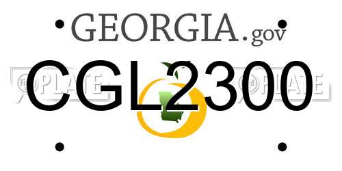 CGL2300 Georgia License Plate