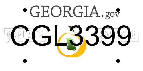 CGL3399 Georgia License Plate