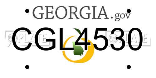 CGL4530 Georgia License Plate